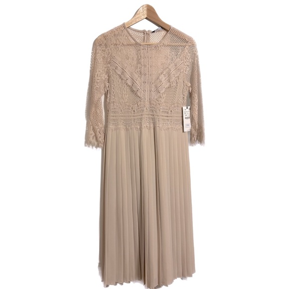Zara Blush Lace Cocktail Dress - Picture 1 of 5